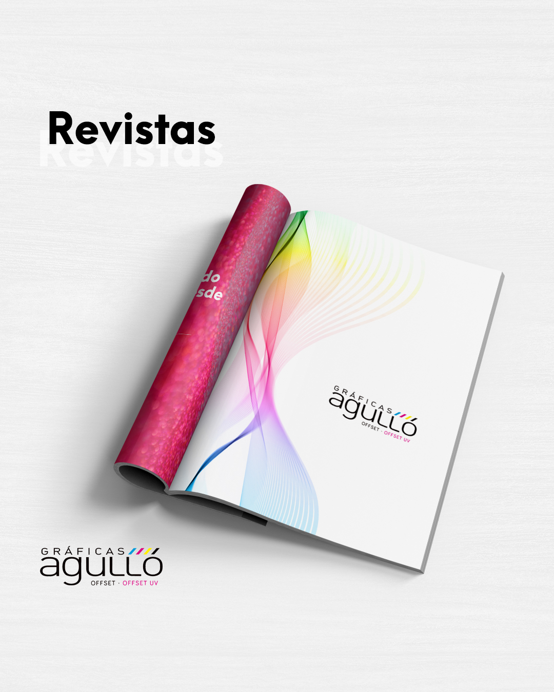 Revistas