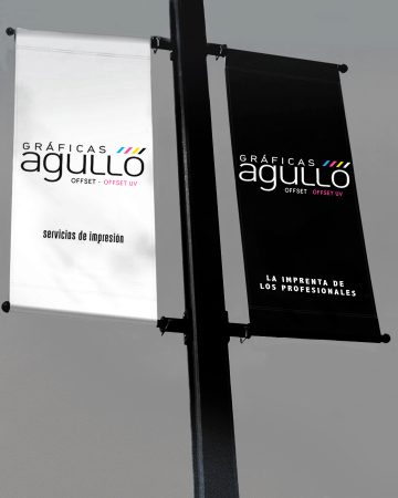 ELECCIONES GRAFICAS AGULLO