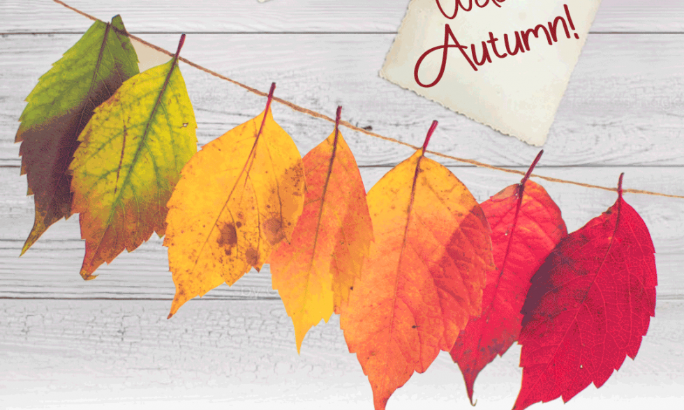 Bienvenido Otoño
